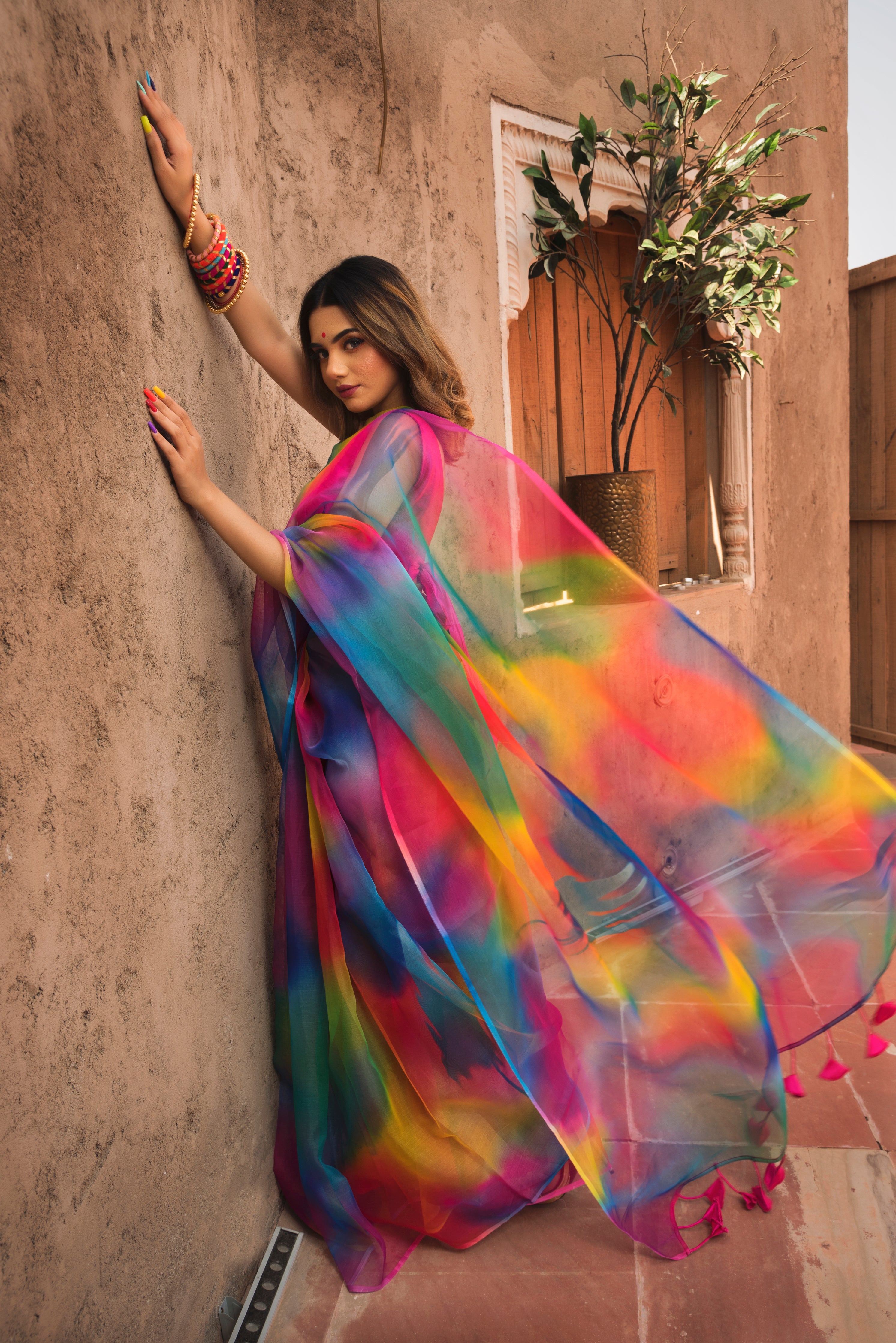 Rainbow store Organza Printed Saree